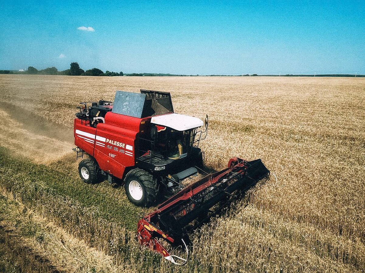 фото с полей ООО "Евсеевское" Московская область