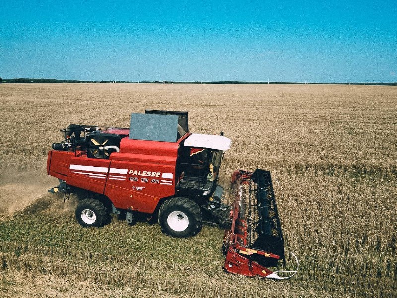 фото с полей ООО "Евсеевское" Московская область