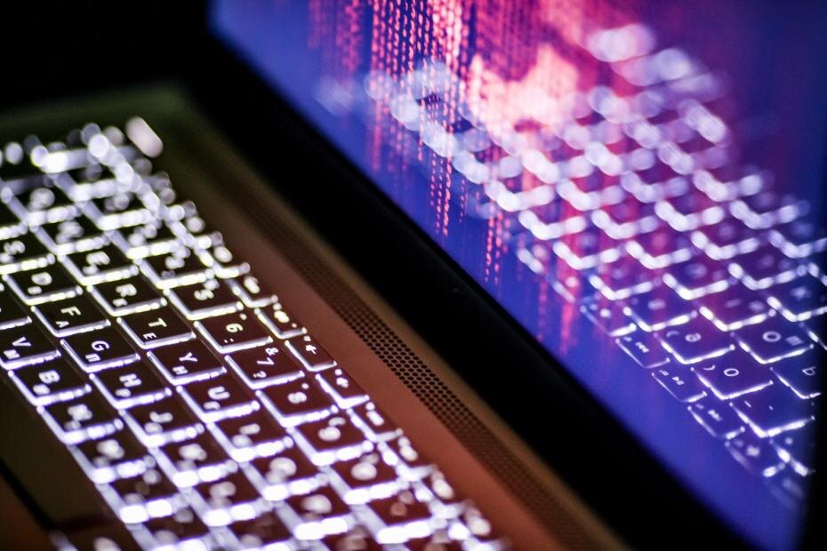    Сергей Булкин/NEWS.ru