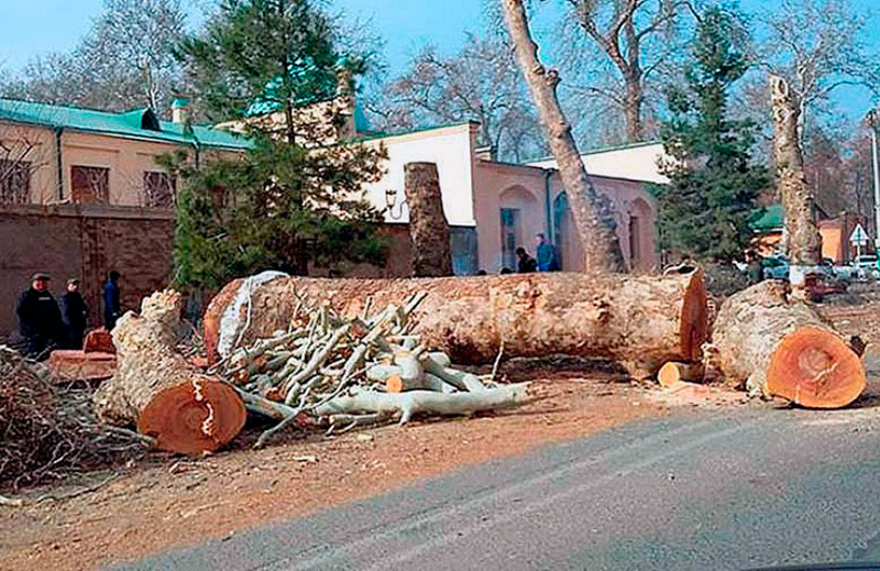 Фото с сайта Yuz.uz