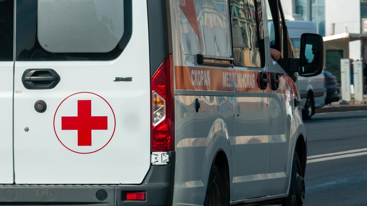    Фото: Svetlana Vozmilova/globallookpress.com