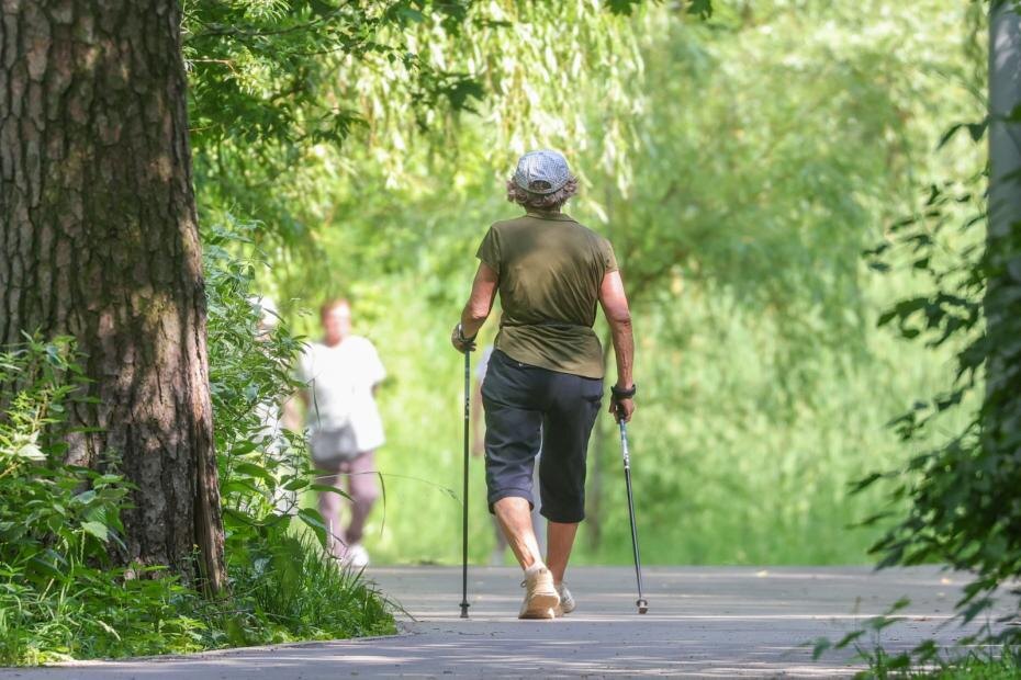    Наталья Шатохина/NEWS.ru