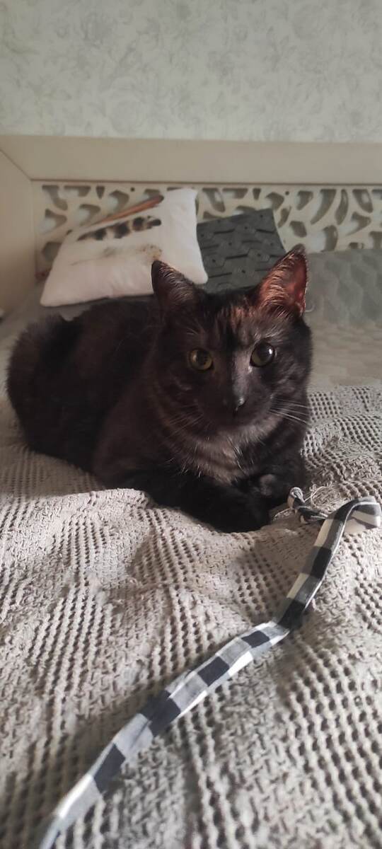 Я ж такой красавчик, что вы наверняка меня вспомните!