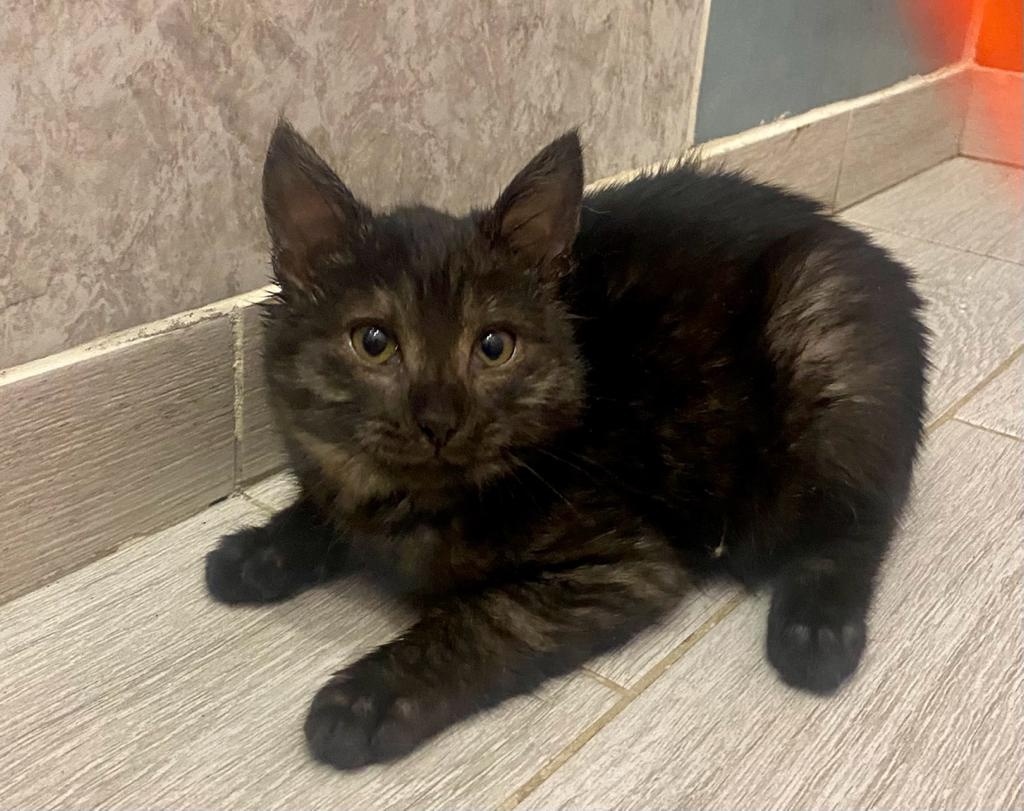 Такого поворота в своей жизни малыш не ожидал