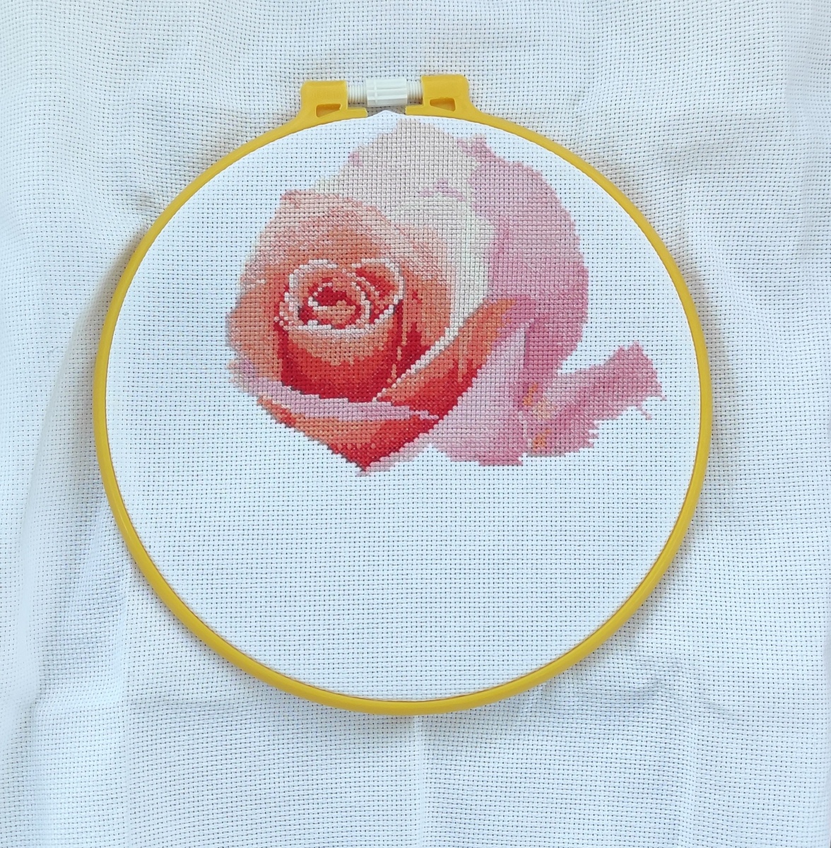 Вот такая красота за 10 дней