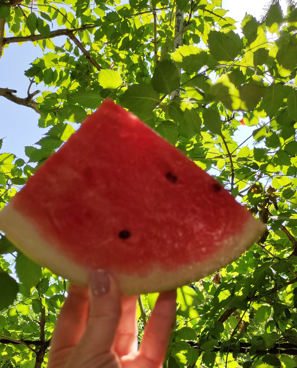 Вкусный волгоградский арбуз