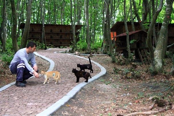 Спасибо добрым людям 🫶🏻