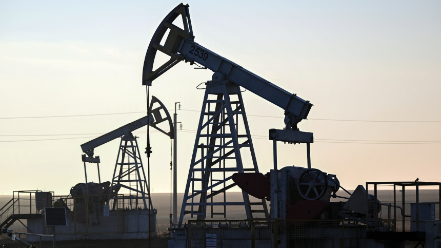    Фото: © РИА Новости/Максим Богодвид