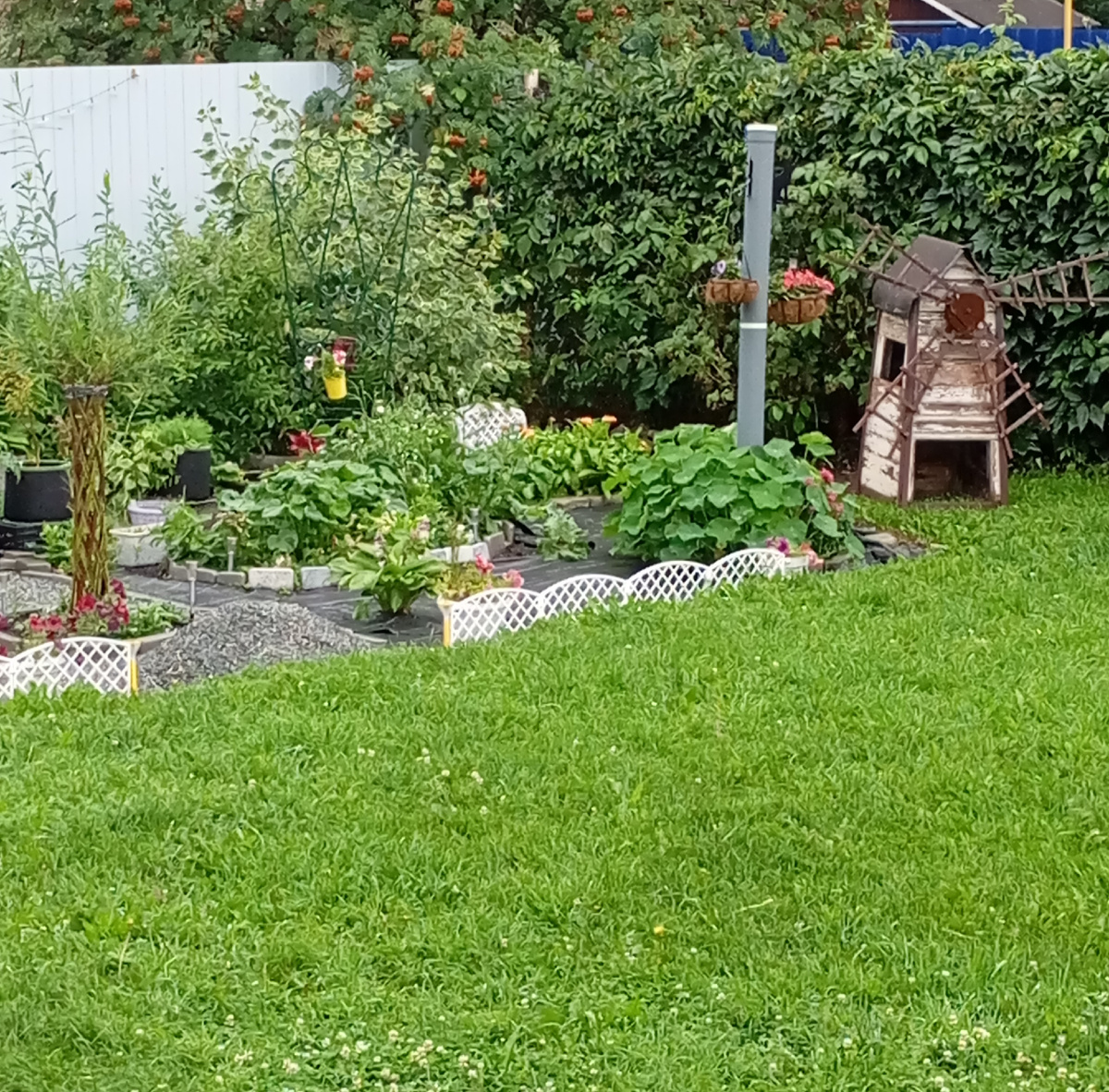 Зато дождик не дали траве высохнуть