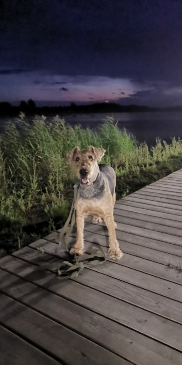 Психология. Психофизиология. 