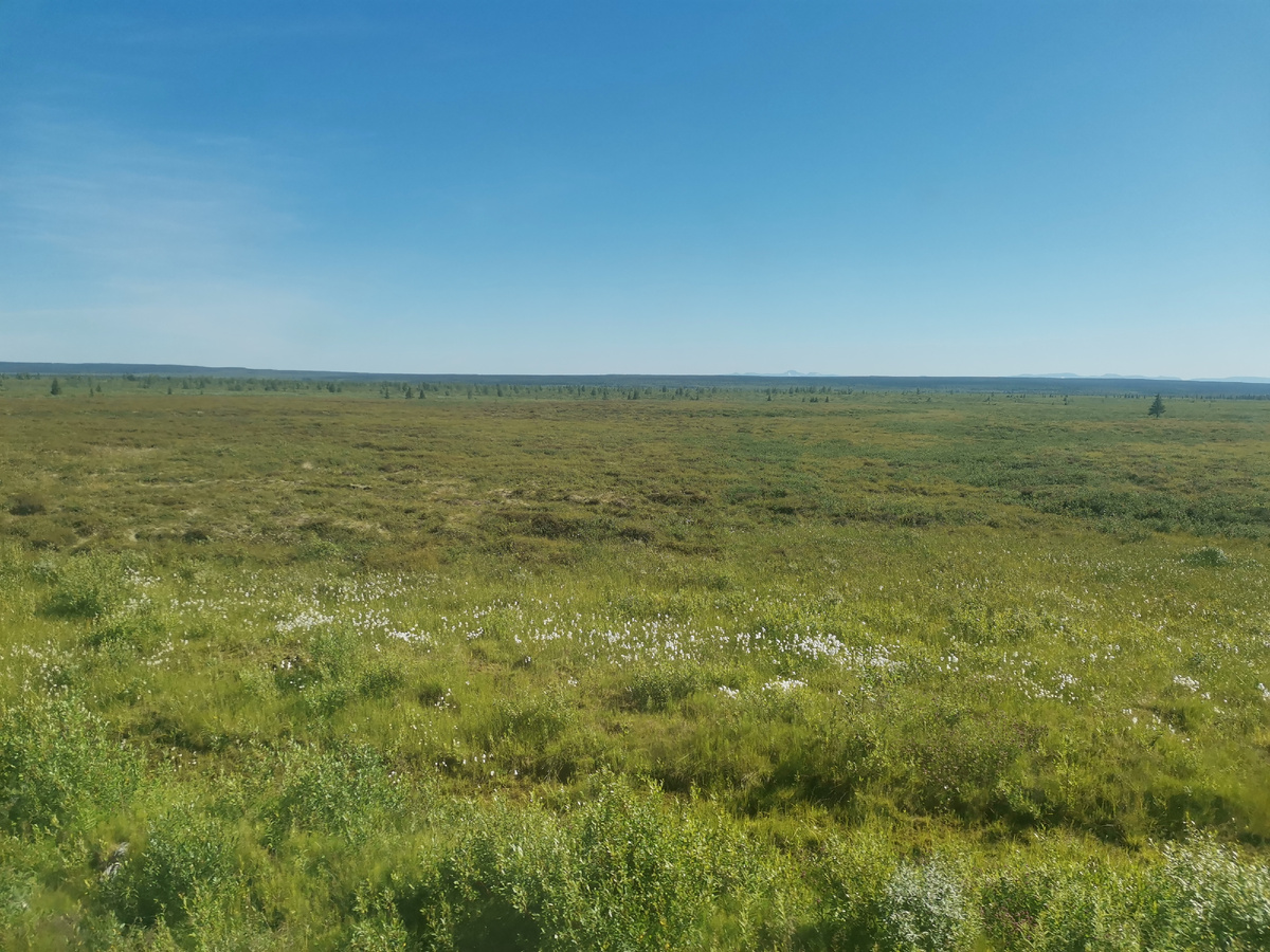 Тундра до горизонта.