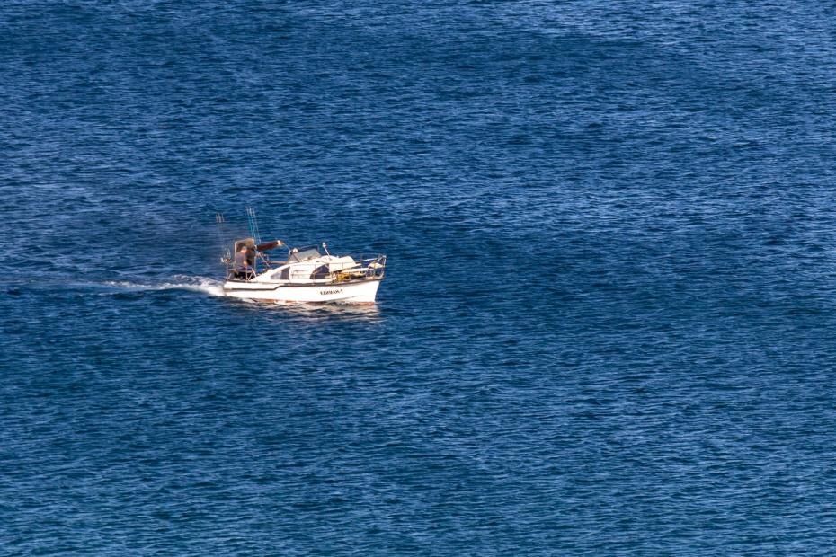    Сергей Петров/NEWS.ru