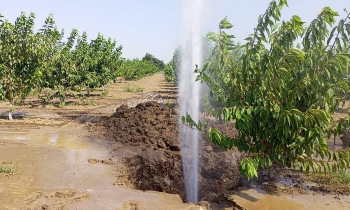    Фото t.me/temryuksmi