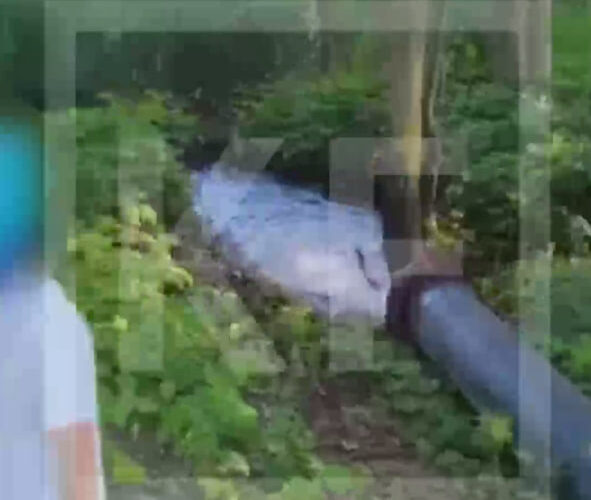    Скриншот видео