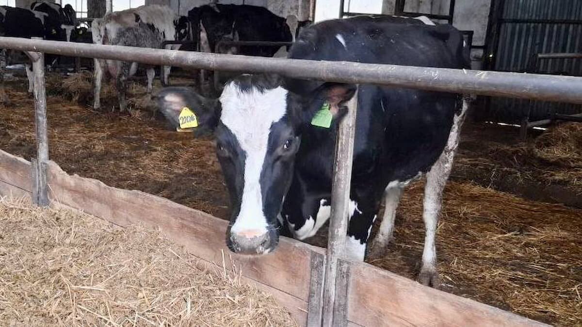    Фото пресс-службы министерства экономики Краснодарского края