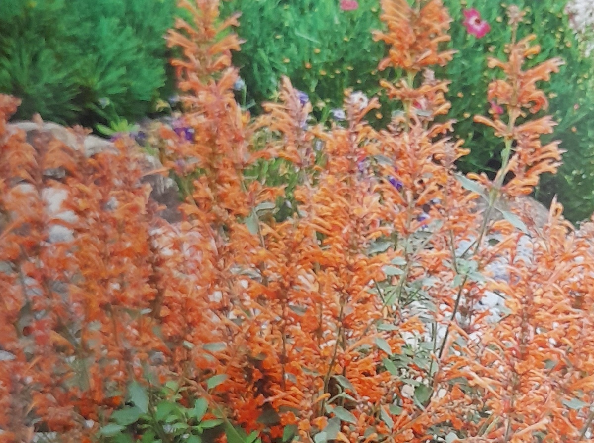 Фото автора канала