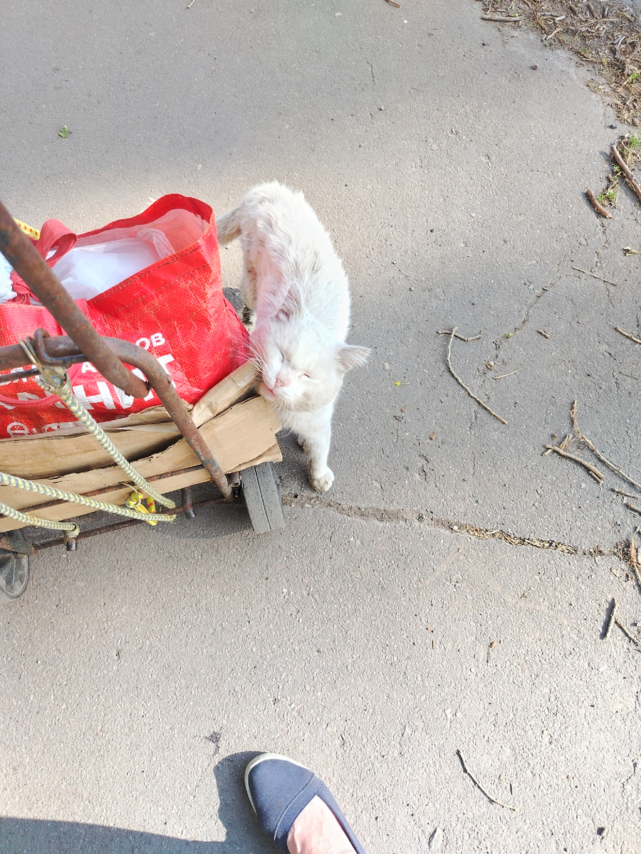 Последнее фото несчастного малыша. 