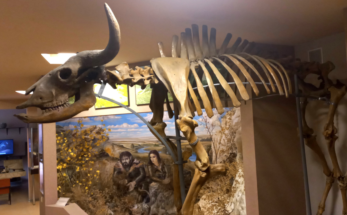 Донецкий краеведческий музей. Зал первых людей. 