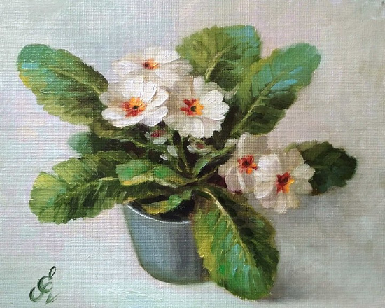 "."   : laushlena   .