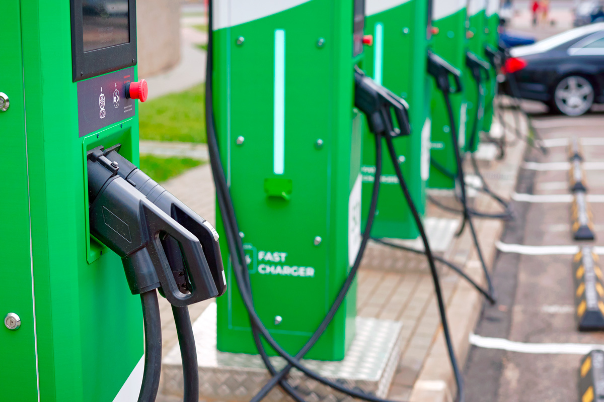    Фото: Tricky_Shark / Shutterstock.com