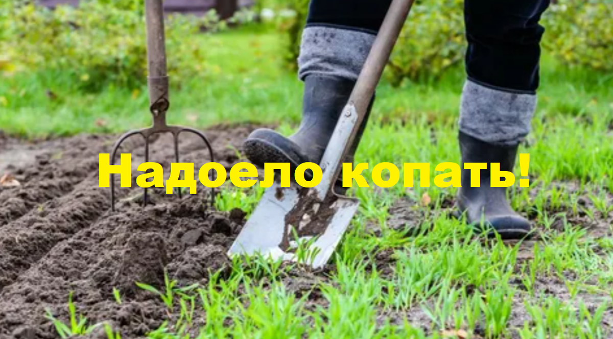 надоело копать. огород без перекопки