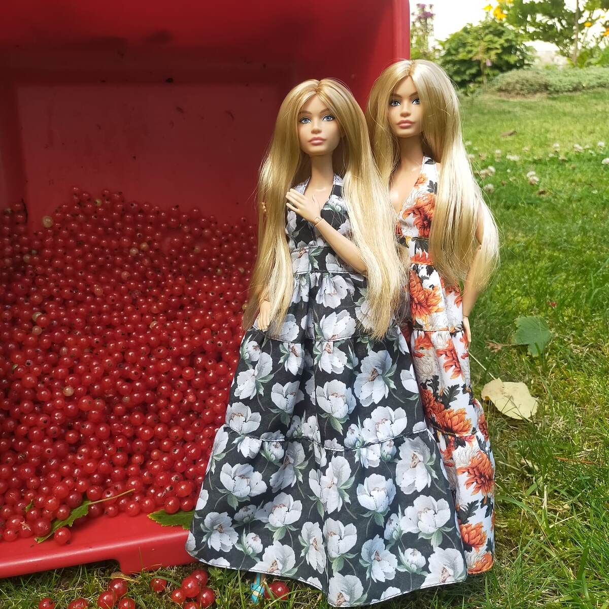 Девочки принимают участие в сборе красной смородины. Фото автора 