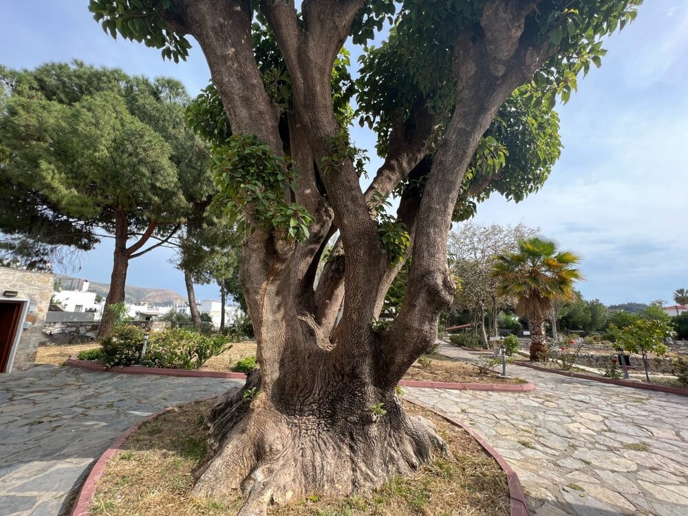 Археологический комплекс Галикарнас