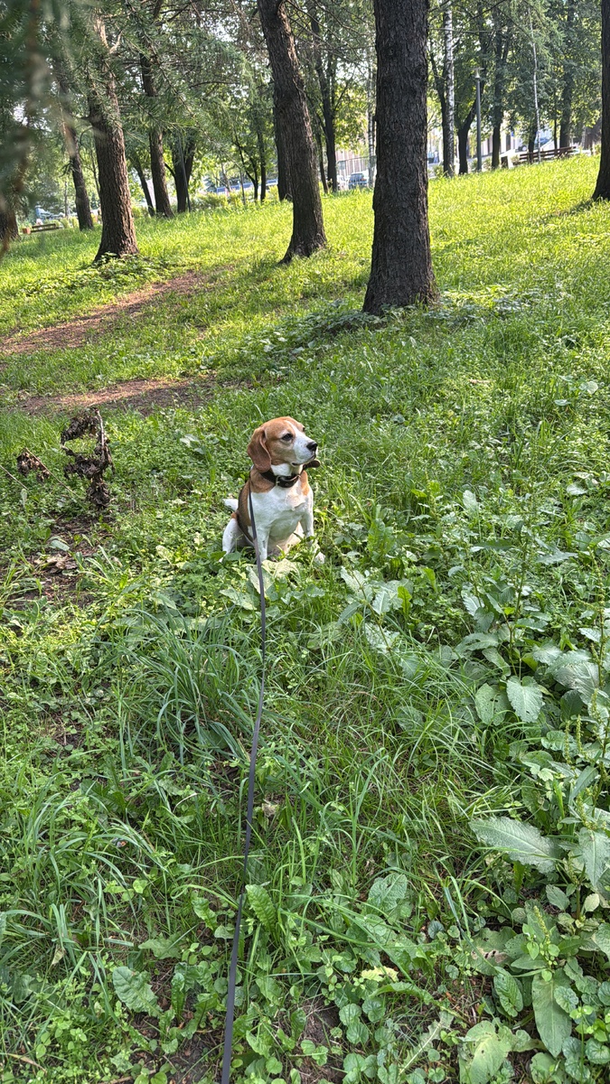 Здесь мы еще не знаем что нас ждёт 