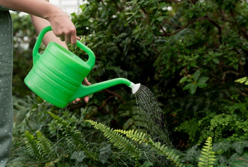    Фото: freepik.com Редактор