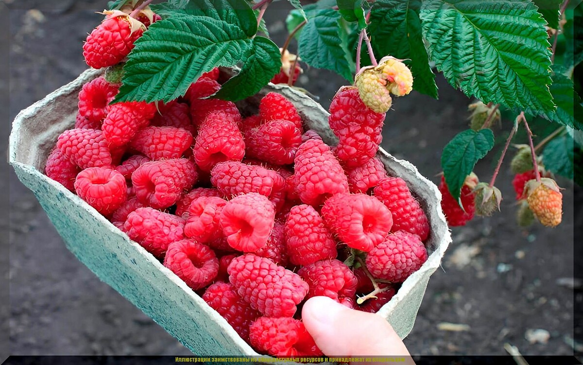 https://vk.com/photo-159774511_457272254