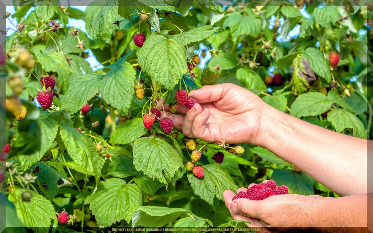 https://vk.com/photo-159774511_457272255