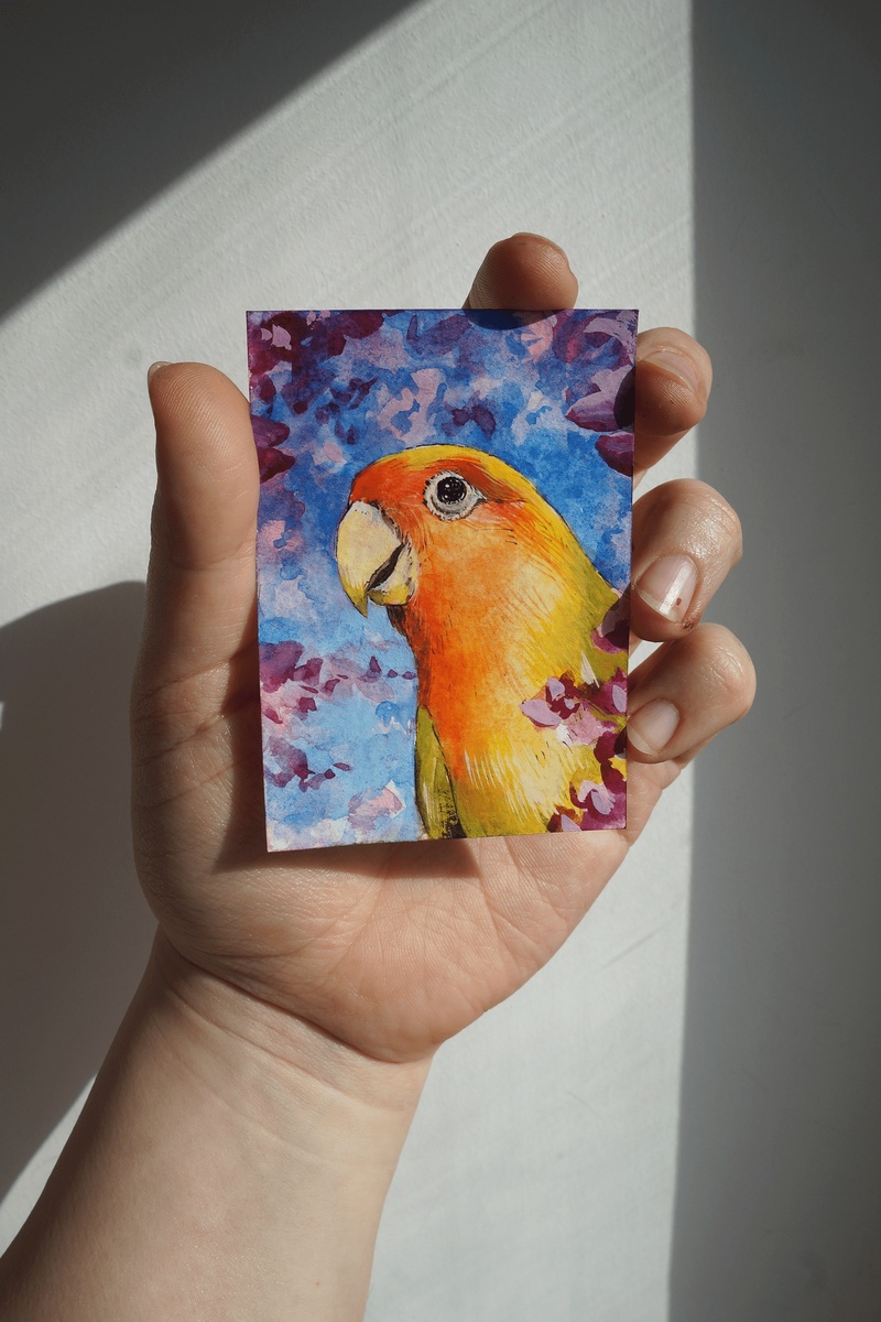 Попугайчик.
Рисунок выполнен акварелью и чёрной ручкой. 
Размер 64x89 мм. 2021 год. Художник: Корягина Светлана (Корга Арт)