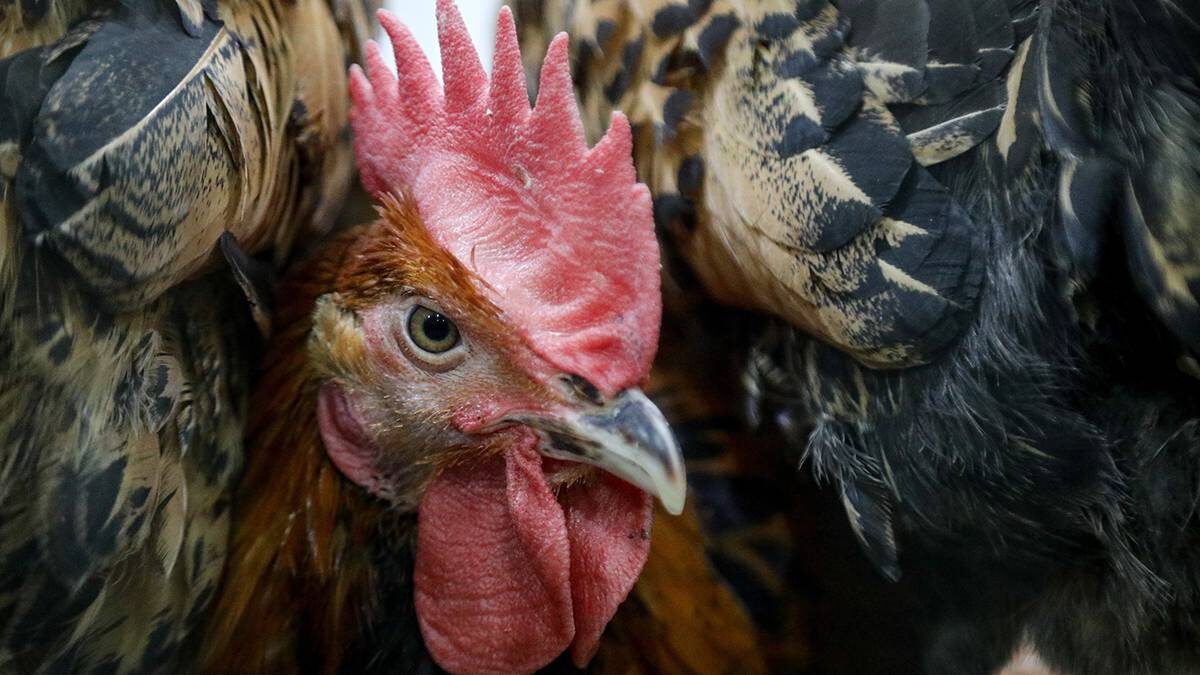    Фото: Артур Новосильцев / АГН Москва