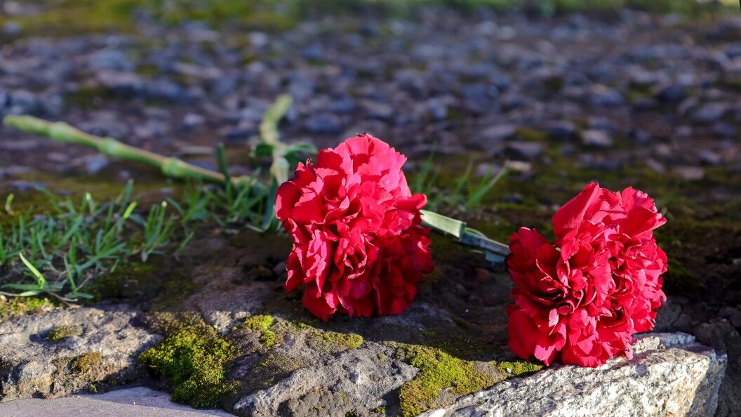    Elena Mayorova/Globallookpress