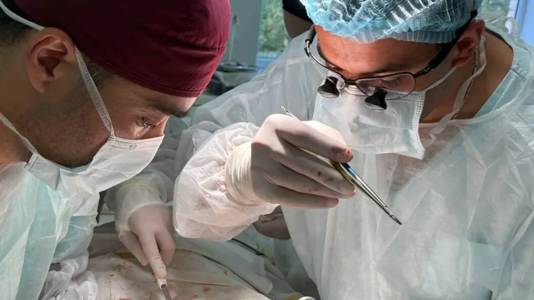    фото: минздрав мо.