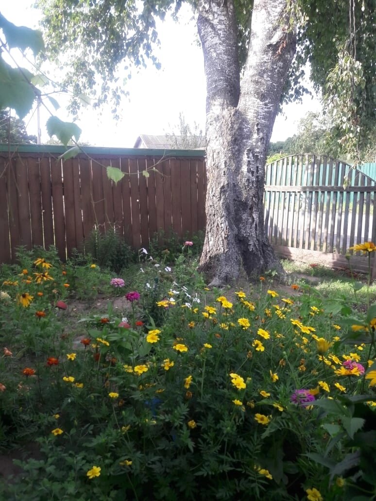 Фото с дачи