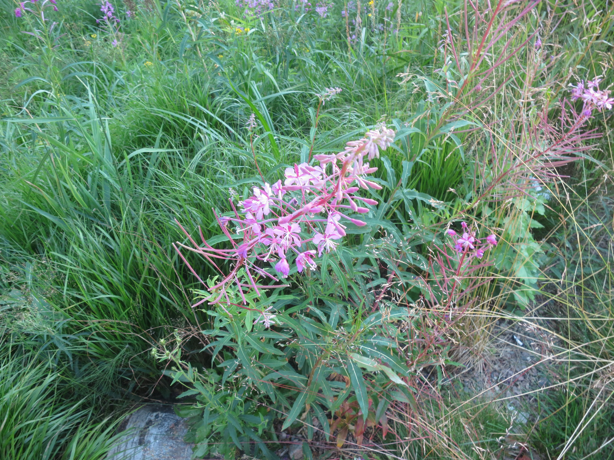 личное фото автора