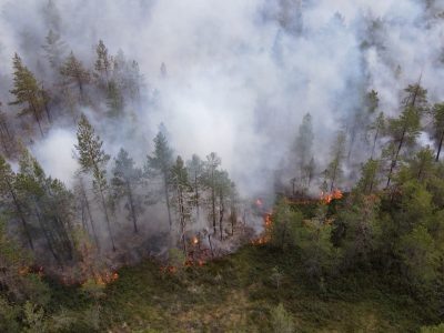    Фото: ГТРК Карелия