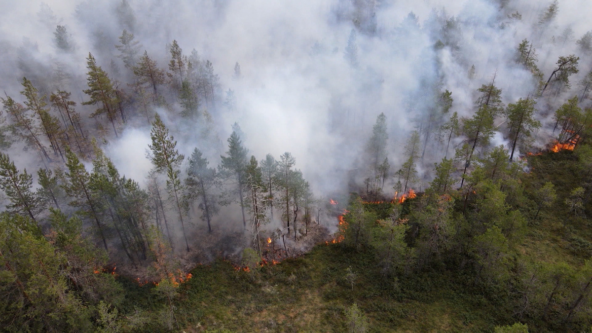    Фото: ГТРК Карелия