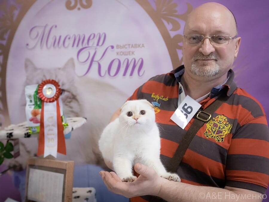 Риффи на выставке