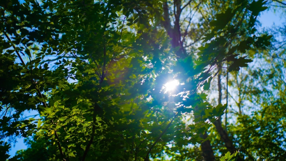 Светлана Мулыкина📷
