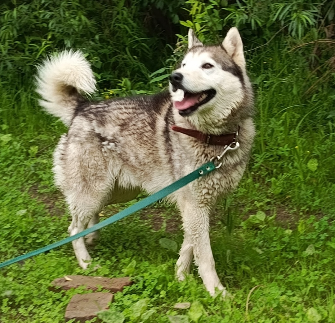 Хоть на подиум