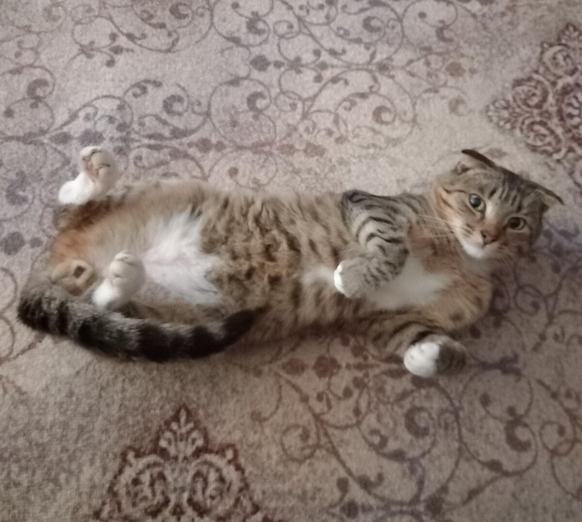 Удивлен во все глаза!