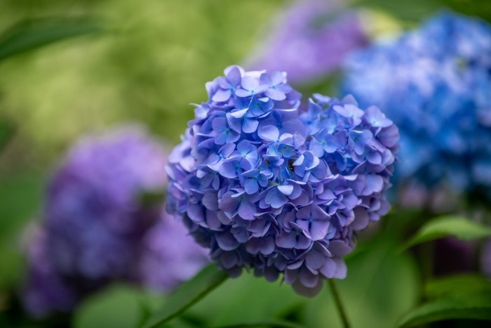    Фото: Юлия Федотова