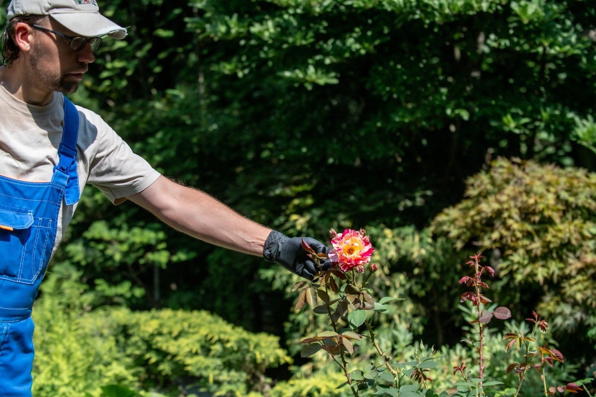 Фото: Юлия Федотова