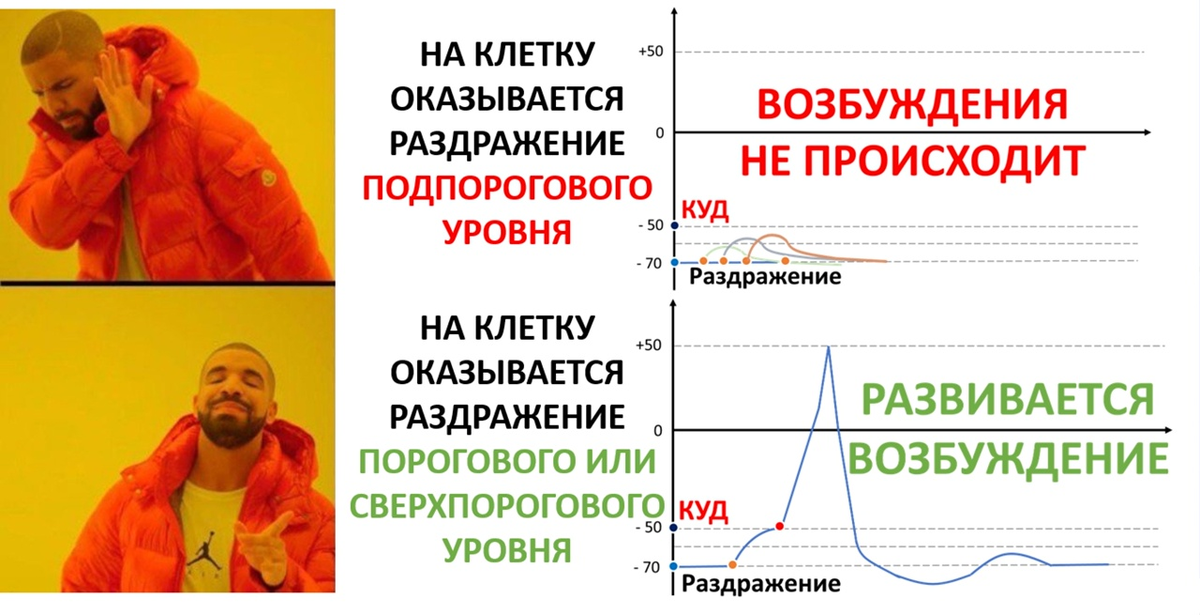 Позиция возбудимой клетки: либо достижение КУД, либо возбуждения не будет!