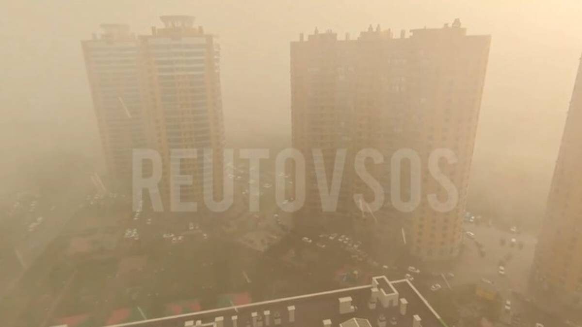    Фото: скриншот / Реутов SOS Новости / Telegram