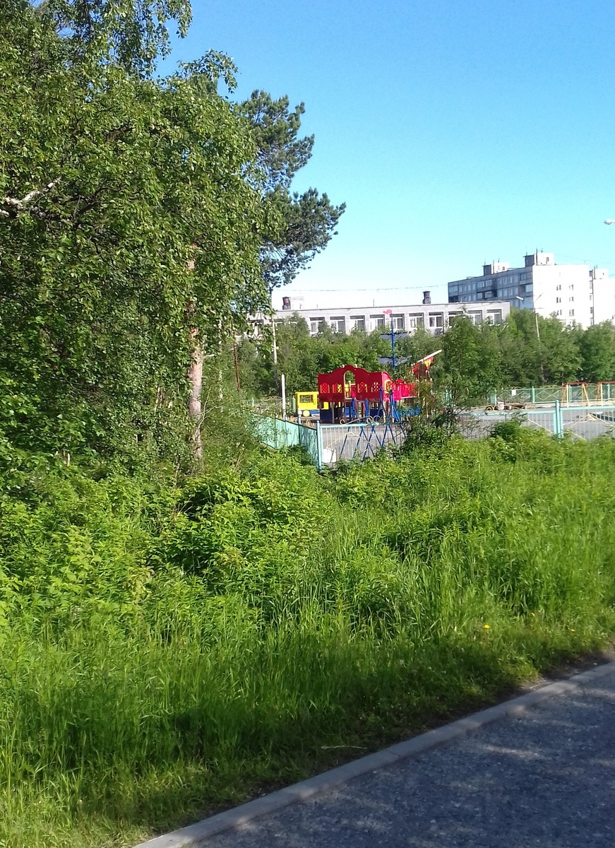 Дорожки посёлка