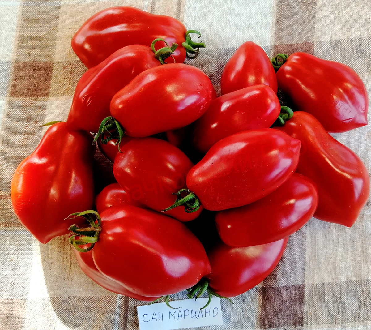 Сан Марцано (San Marzano)