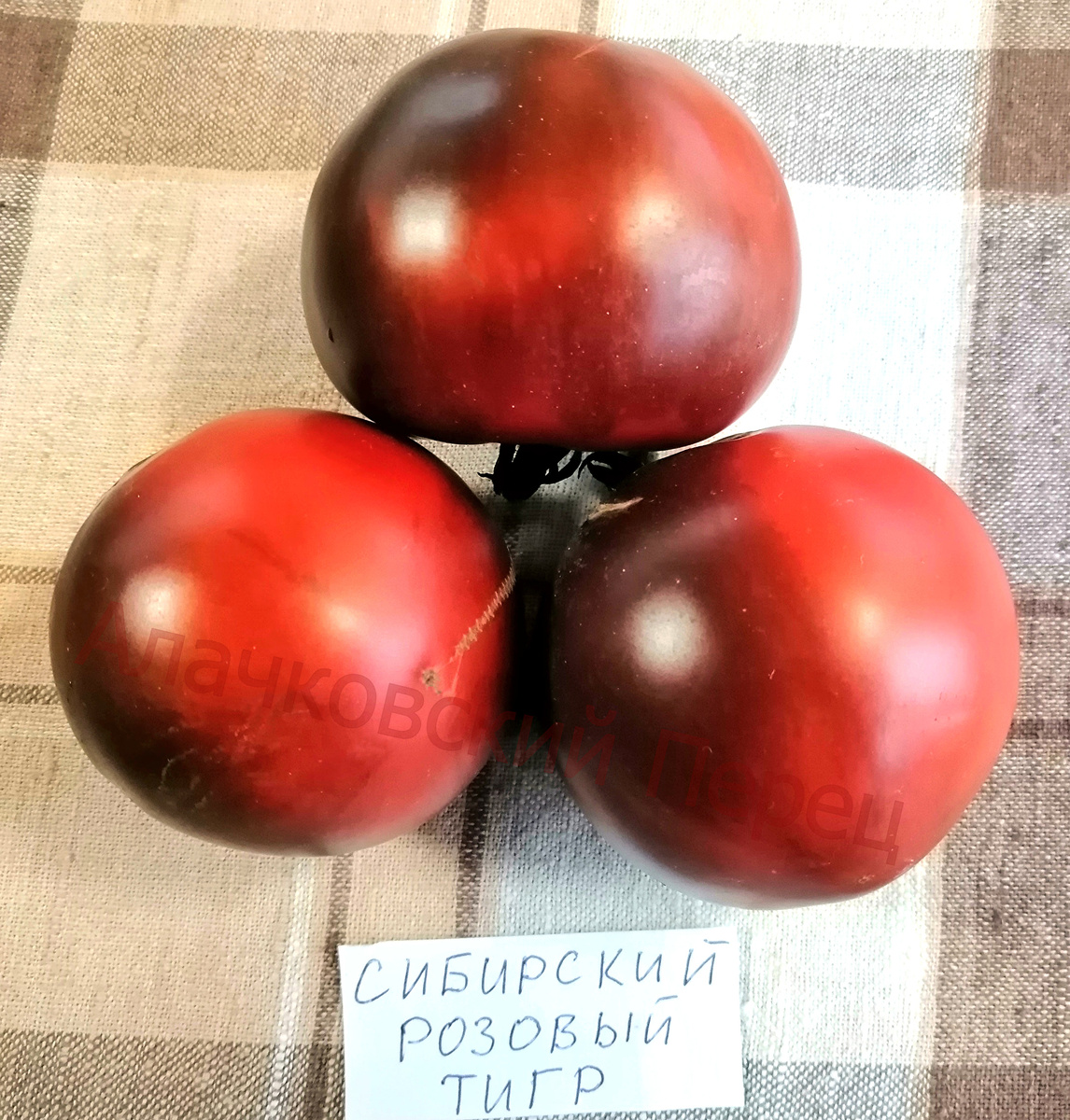 Сибирский Розовый Тигр